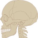 올곧은한의원 이미지