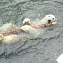 통키통키 이미지