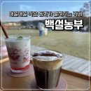 댕이랑 | [당진/예산] 충남 예산 가볼만한곳 애견동반카페 '백설농부' 솔직리뷰 (내돈내산)