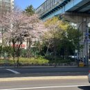 동의대역 6번 출구 이미지