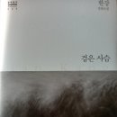 검은 사슴...... 51 이미지