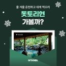 여깄어