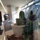 센텀코어의원 이미지