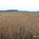 여행자게스트하우스 이미지