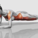 피트니스 화도 이미지