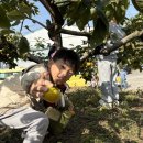 김해유치원 이미지