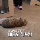 라라농장 이미지