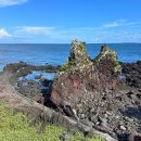 코지목장 | 서귀포 쇠소깍 근처 작업하기 좋은 게우지코지 카페