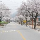 양평오이김밥