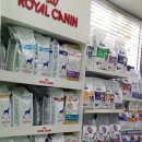 전병준동물병원 이미지