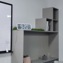 산호동297 이미지