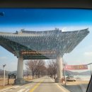 대규미나리 이미지