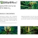 적송원
