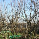 여주-0532 이미지