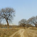 버드나무자동차공업사 이미지