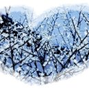 성시교회 이미지