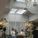 화이트 뮤즈 | [본식DVD] 화이트모티브 PJ호텔 뮤즈홀(밝은 홀) 본식 촬영 후기