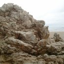 동백펜션 이미지