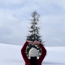 능주버스 정류장 공중화장실 | [삿포로] 여행한그릇 "비에이 버스투어" 내돈내산 만족후기 (26년 2월 투어, 투어꿀팁 준비물, 비에이역...