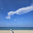 망상오토캠핑리조트 이미지