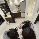 뉴쵸이스헤어 | 내인생 최고의 만남(사진일기)