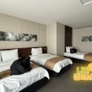 슈슈PC | 양평 블룸비스타 호텔, 전망좋은 남한강뷰 패밀리룸 혜택가득 호캉스