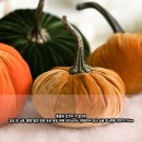 미스펌킨 | 벨벳 펌킨 15cm, 이 호박 하나로 감성 인테리어 끝! 삶의 질 상승템