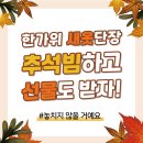 플레이픽스키즈