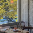 삐에드라 | 부산 광안리 삐에드라 방문 후기 은행나무 뷰 카페 주차 팁