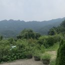 신야춘추 | 요정마을가서 대접받고옴, 핵 핵 핵 추천하는 계룡산 맛집 &#39;신야춘추&#39;