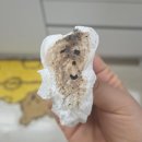 척주로 | 블챌 왓츠인마이블로그 긴 추석 연휴 동안의 일기