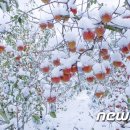 장수신농영농조합법인 이미지