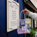 [연산동 꽃집] 부산시청 근처 꽃집 '아뜰리에이브아' - 미니 선인장 데려온 후기후기 feat. 반려 식물