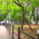 우산동게이트볼장 네이버블로그