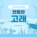 부자고래 | [책] 천명관 소설 고래 줄거리 및 후기, 고자극 29금 몰입도 대박