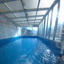 바다향기펜션 | 아이와 함께한 대부도가족펜션 대부도 바다향기 세비아 풀빌라 펜션 후기 💖