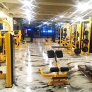 디자인 휘트니스 이미지