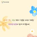 담풀