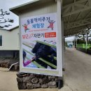휴애리 축사 티스토리