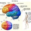 모벤스피트니스 이미지