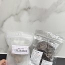머멍찌 | 컬러푸드 기반 영양밥 머멍찌 화식 후기! 강아지 중성화 수술 후 회복식으로 딱이에요 💯✨