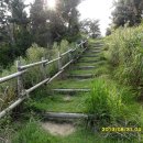 화도(꽃섬) 이미지