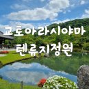 NR-7[원화로]-하-616 | 교토 아라시야마 텐류지 입장료 정원 풍경