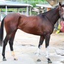 준우축산 이미지