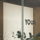 신명 | 오붓패스 요가원투어후기(2) 용산 원모어요가 종로 이어가는 움직임 잠실 결요가