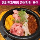 용산-233 | 용리단길 맛집 제대로 찾았다 장어덮밥과 네기도로 솥밥이 미친 근본양만 용산
