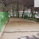 수미초교병설 이미지