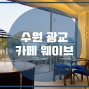 테이크웨이브 티스토리