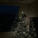 삼양로54길 | 25년 12월