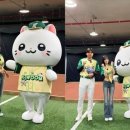 (주)조이돔 네이버블로그